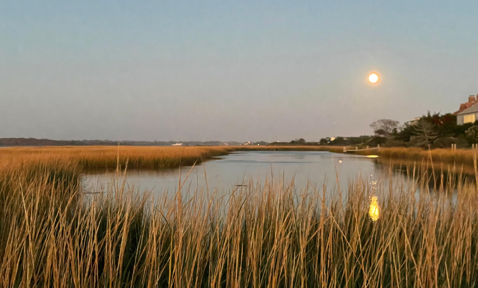 Full Moon on Meadow Lane